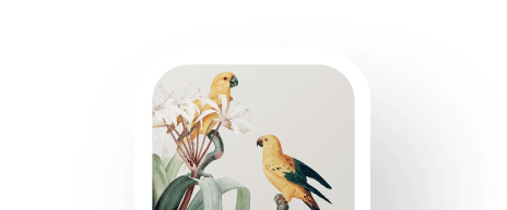 Wallcoverings Visualizer