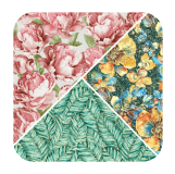 app to see wall materials in room